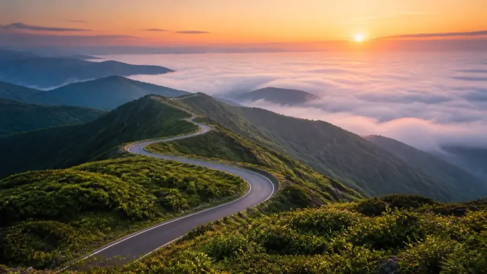 雲海の上の山岳道路